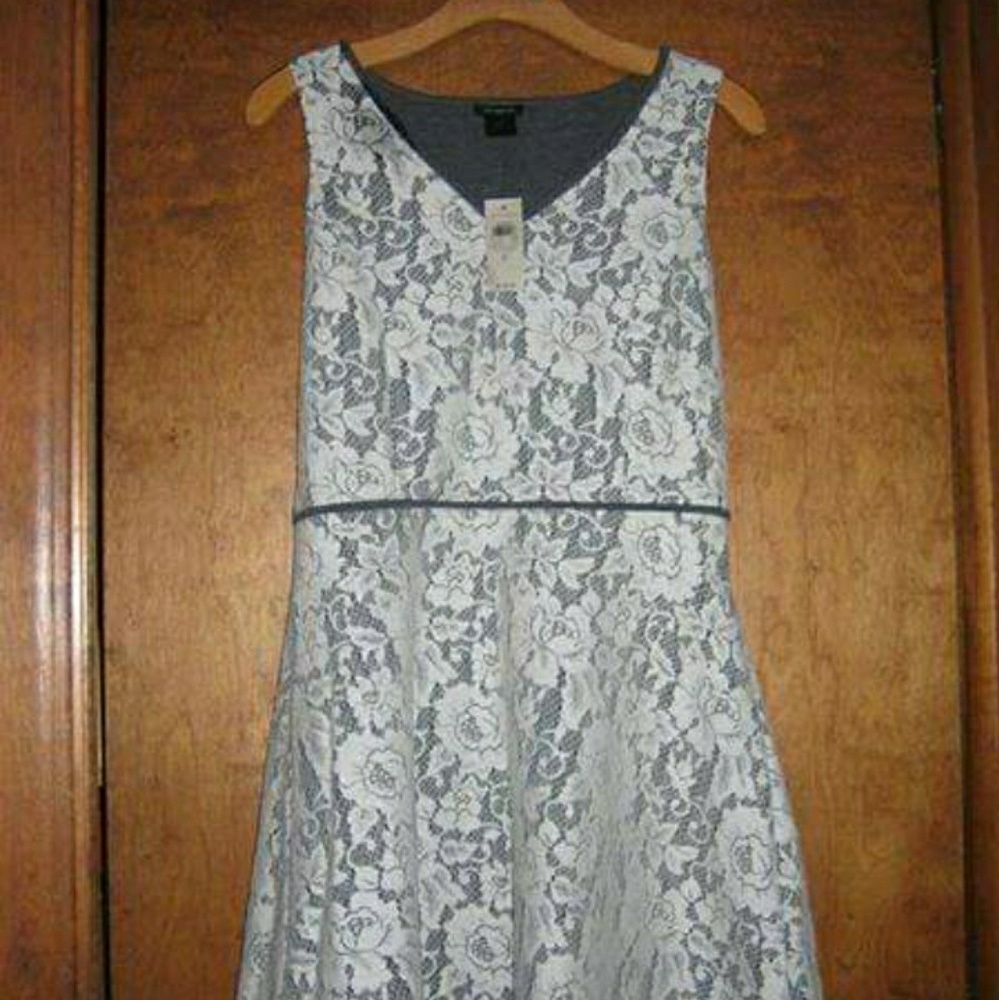 New Ann Taylor dress